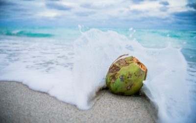 ÓLEO DE COCO