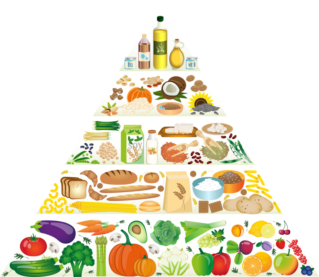 para que serve a piramide alimentar