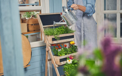 Horta em casa: passo a passo para cultivar alimentos nutritivos