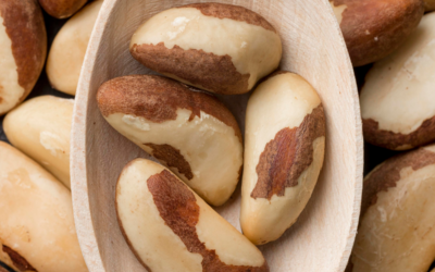 8 Benefícios da Castanha do Pará e Como Comer [Guia]